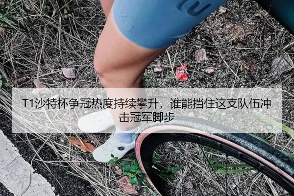 T1沙特杯争冠热度持续攀升，谁能挡住这支队伍冲击冠军脚步